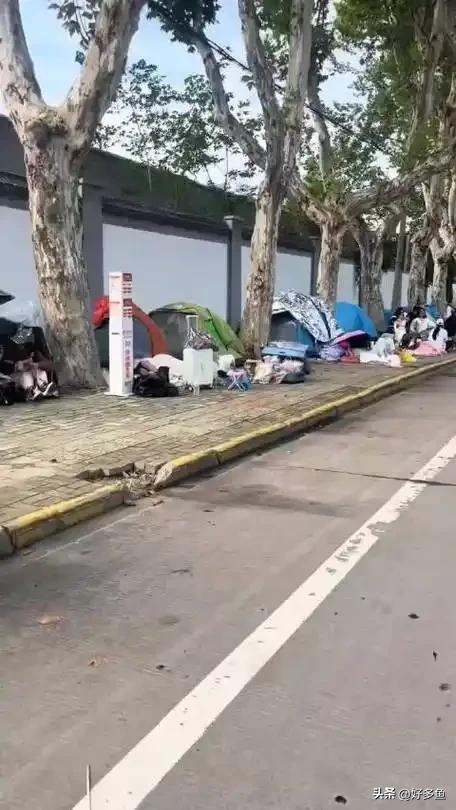 选帐篷”:一场年轻态的旅行革命开元棋牌00后十一长假“弃酒店(图1) 选帐篷”:一场年轻态的旅行革命开元棋牌00后十一长假“弃酒店(图1)