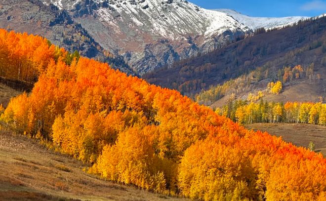 权威口碑：乌鲁木齐口碑最好的旅行社开元棋牌2025乌鲁木齐十大旅行社(图3)