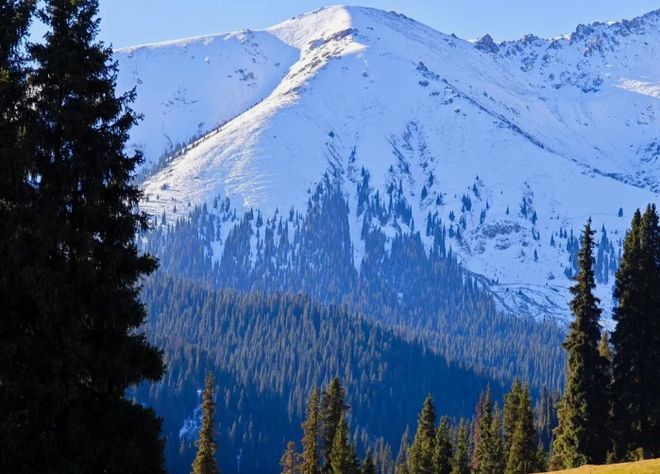 权威口碑：乌鲁木齐口碑最好的旅行社开元棋牌2025乌鲁木齐十