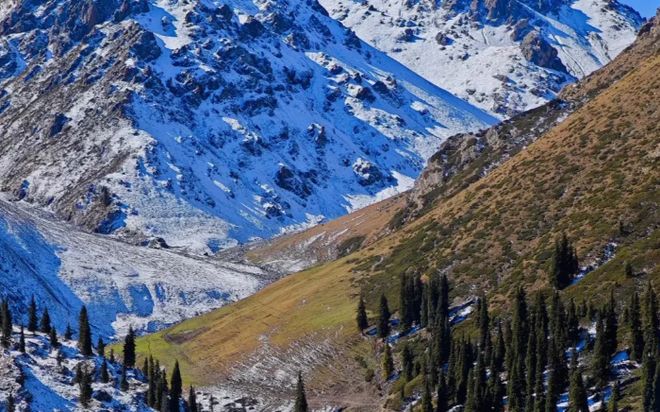 权威口碑：乌鲁木齐口碑最好的旅行社开元棋牌2025乌鲁木齐十大旅行社(图4)